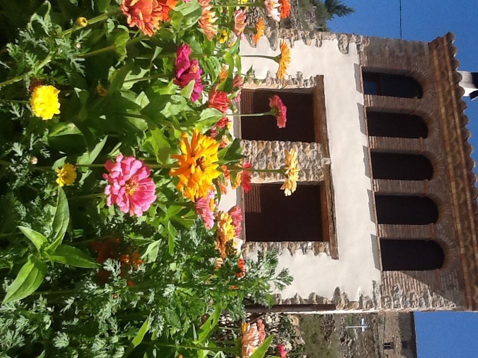 Casa Rural Caseta De L' Hort Villafranca del Cid Δωμάτιο φωτογραφία