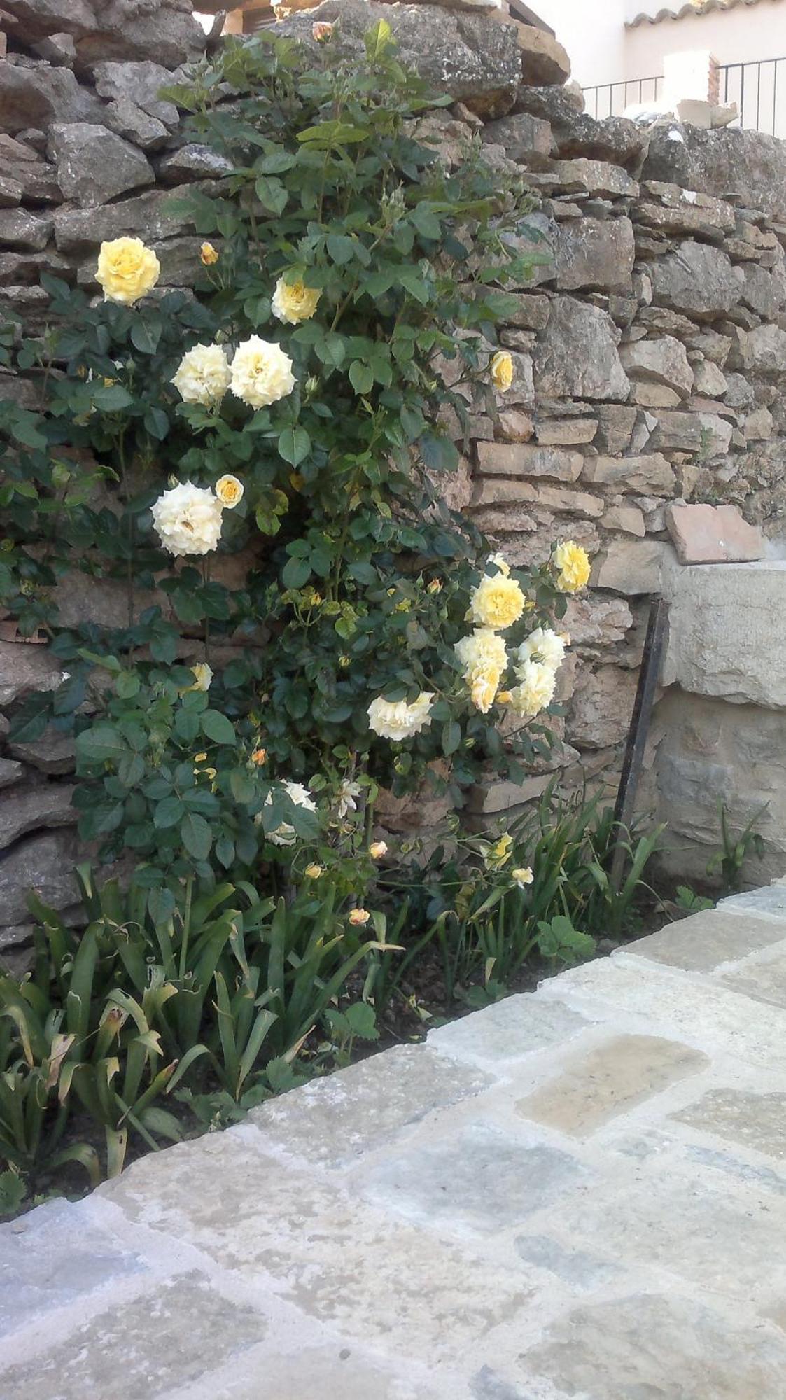 Casa Rural Caseta De L' Hort Villafranca del Cid Εξωτερικό φωτογραφία