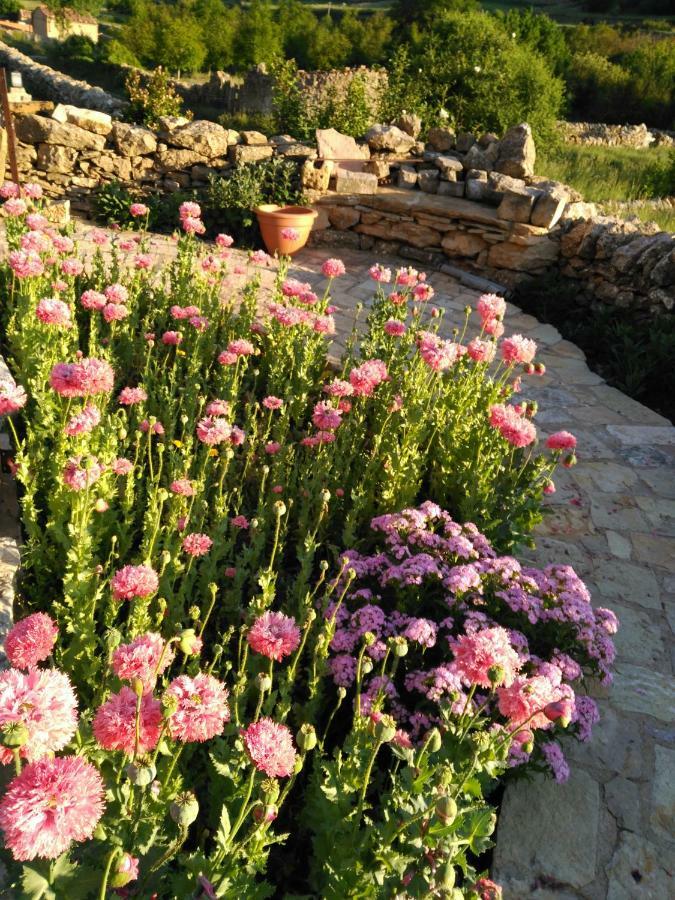 Casa Rural Caseta De L' Hort Villafranca del Cid Εξωτερικό φωτογραφία