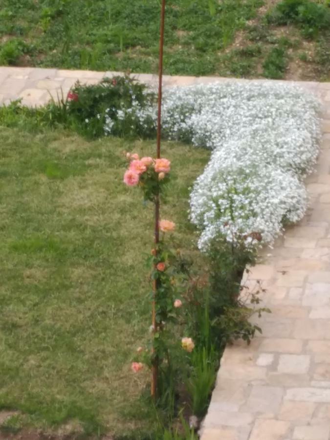 Casa Rural Caseta De L' Hort Villafranca del Cid Εξωτερικό φωτογραφία